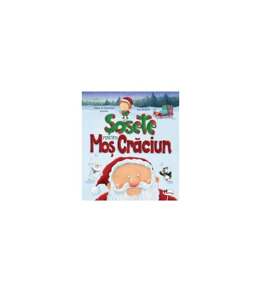 Șosete pentru Moș Crăciun - Hardcover - Adam Guillain, Charlotte Guillain - Aramis