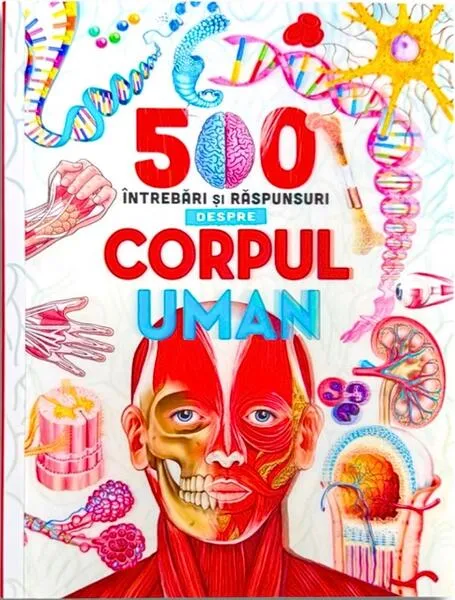 500 de întrebări și răspunsuri despre corpul uman - Paperback brosat - Flamingo