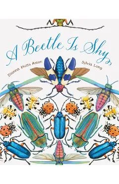A Beetle Is Shy - Dianna Hutts Aston
