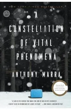 A Constellation of Vital Phenomena - Anthony Marra