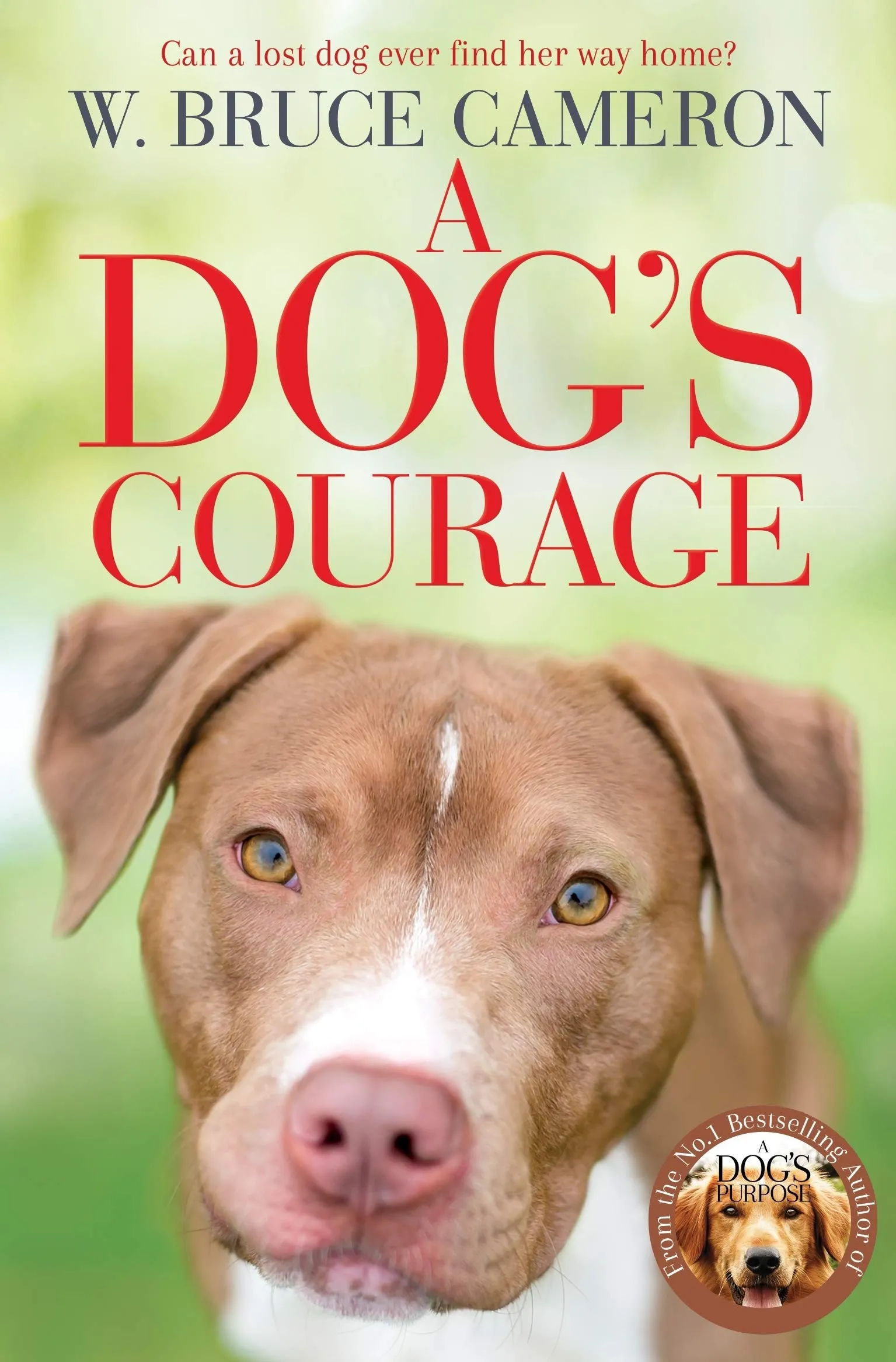 A Dog's Courage | W. Bruce Cameron