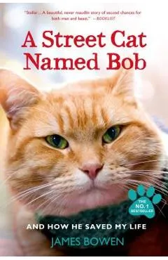 A Street Cat Named Bob and How He Saved My Life - James Bowen