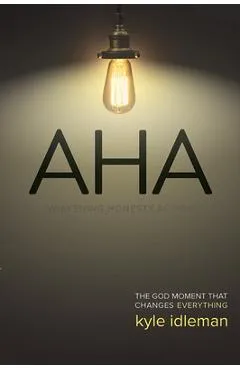 AHA: Awakening. Honesty. Action: The God Moment That Changes Everything - Kyle Idleman