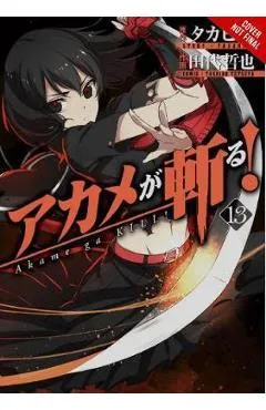 Akame ga Kill!, Vol. 13 -  Takahiro