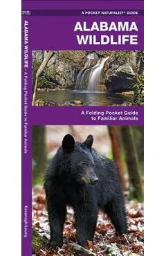 Alabama Wildlife: A Folding Pocket Guide to Familiar Animals - James Kavanagh