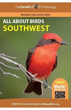 All about Birds Southwest - Cornell Lab Of Ornithology