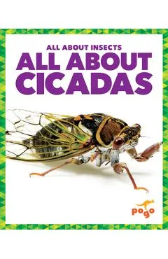 All about Cicadas - Golriz Golkar