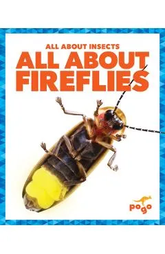All about Fireflies - Golriz Golkar