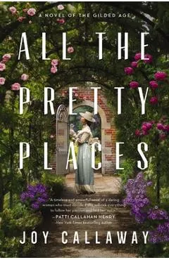 All the Pretty Places: A Novel of the Gilded Age - Joy Callaway