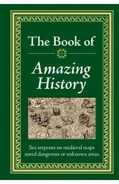 Amazing History - Ltd Publications International