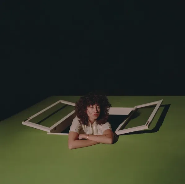 American Hero - Vinyl | Towa Bird