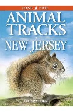 Animal Tracks of New Jersey - Tamara Eder