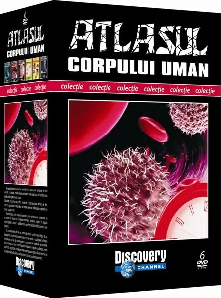 Atlasul corpului uman. 6 DVD-uri
