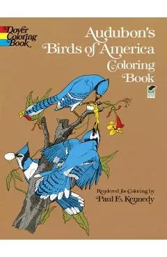Audubon's Birds of America Coloring Book - John James Audubon