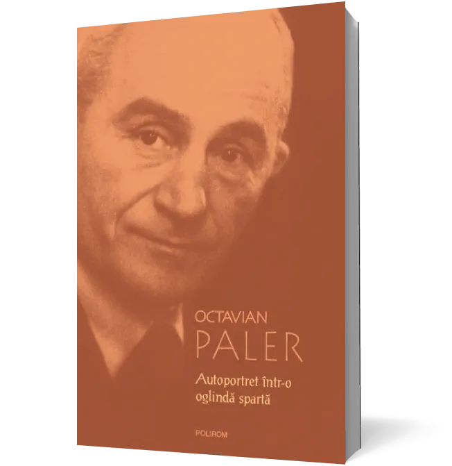 Autoportret într-o oglindă spartă