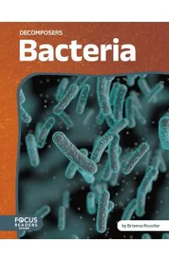 Bacteria - Brienna Rossiter