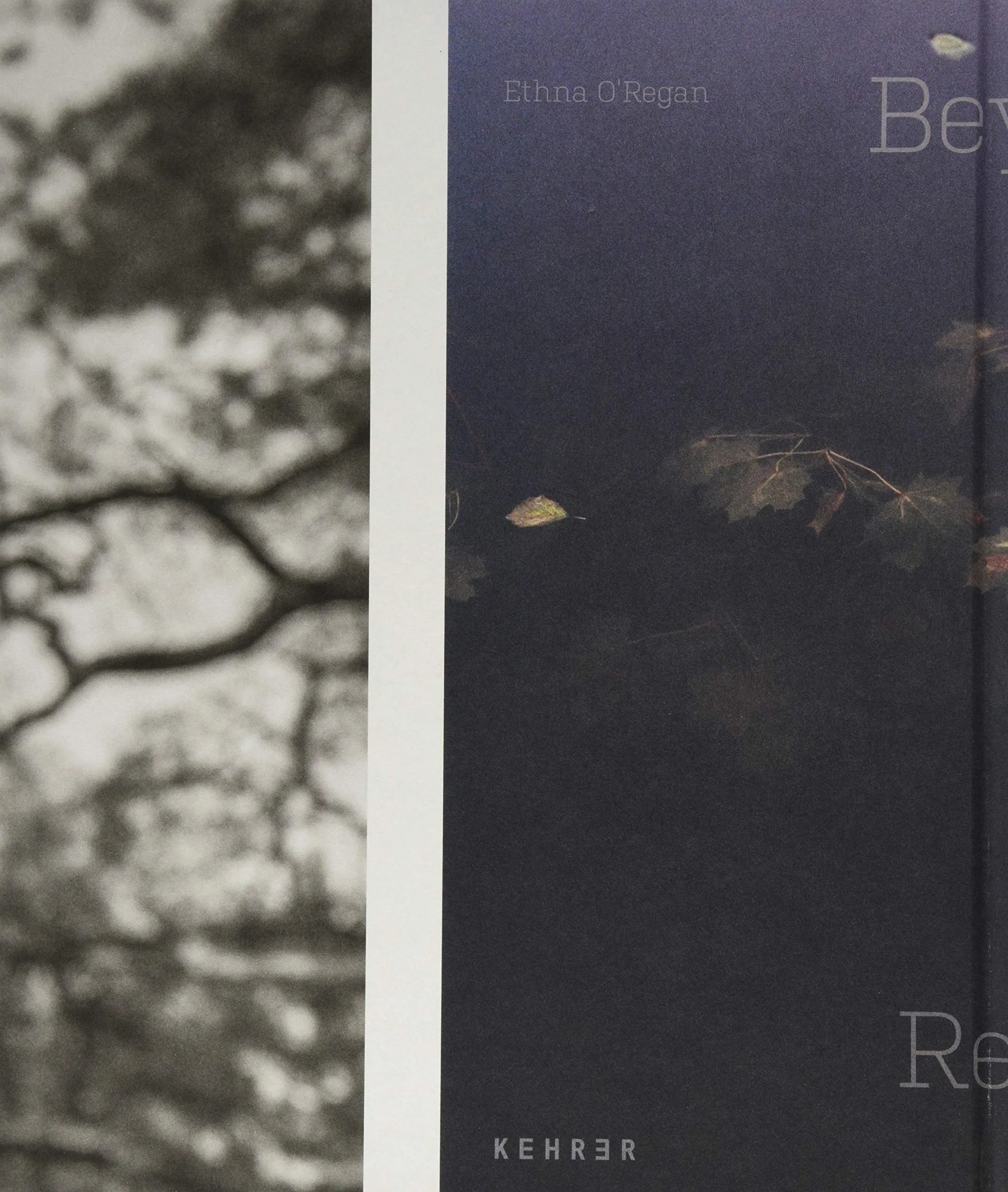 Beyond Reach | Ethna O'Regan, Ania Nalecka-Milach