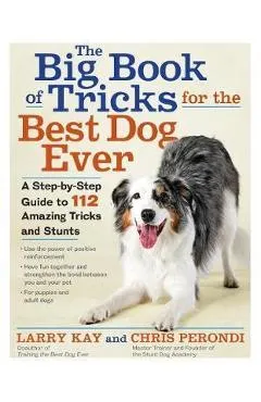 Big Book of Tricks for the Best Dog Ever