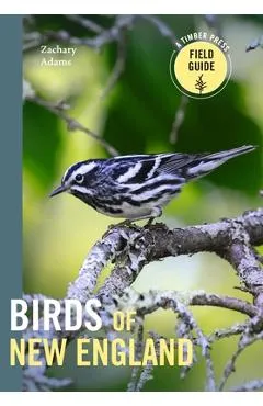 Birds of New England: A Timber Press Field Guide - Zach Adams