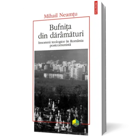 Bufniţa din dărâmături