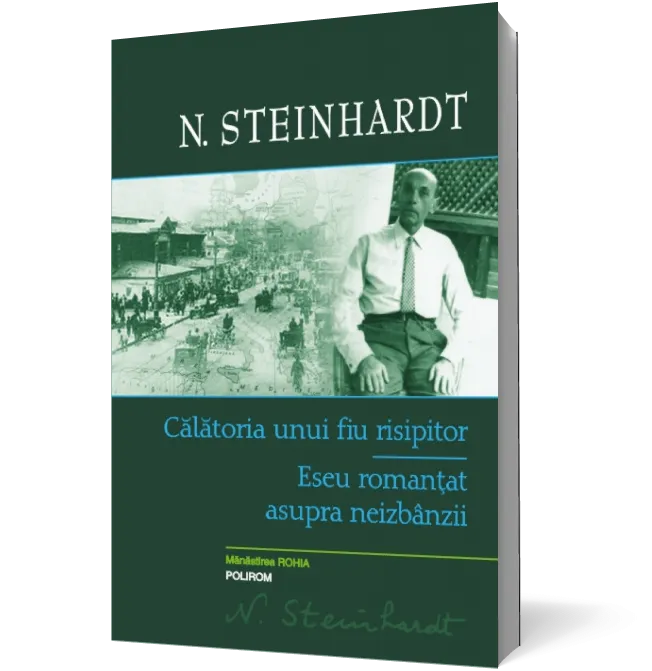 Călătoria unui fiu risipitor. Eseu romanțat asupra neizbânzii