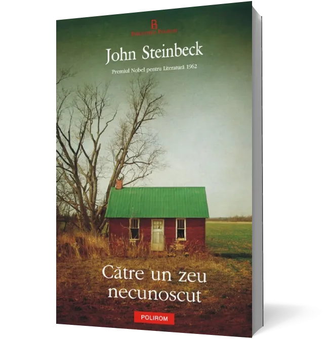 Către un zeu necunoscut