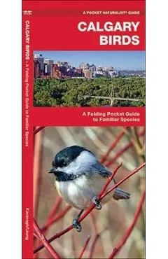 Calgary Birds: A Folding Pocket Guide to Familiar Species - James Kavanagh