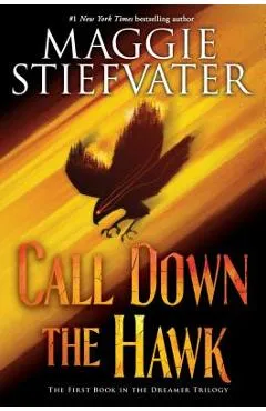 Call Down the Hawk (the Dreamer Trilogy, Book 1), Volume 1 - Maggie Stiefvater