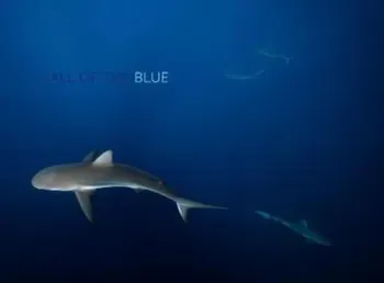 Call of the Blue/Philip Hamilton