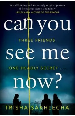 Can You See Me Now? - Trisha Sakhlecha