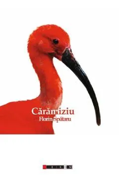 Caramiziu - Florin Spataru
