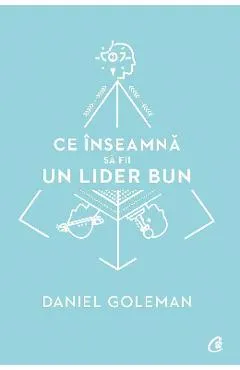 Ce inseamna sa fii un lider bun - Daniel Goleman