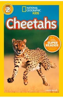 Cheetahs - Laura Marsh