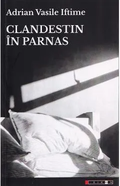 Clandestin in Parnas - Adrian Vasile Iftime