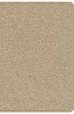 CSB Large Print Compact Reference Bible, Gold Leathertouch - Csb Bibles By Holman