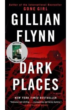 Dark Places - Gillian Flynn
