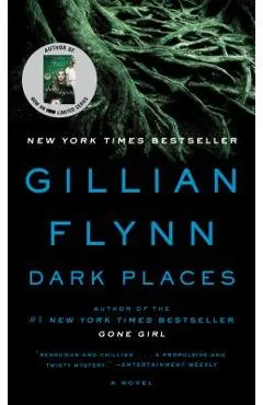 Dark Places - Gillian Flynn