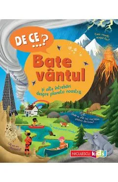 De ce? Bate vantul si alte intrebari despre planeta noastra - Anita Ganeri