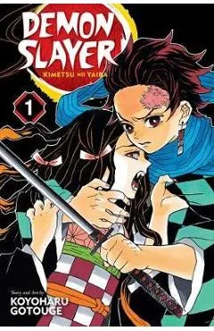 Demon Slayer: Kimetsu no Yaiba, Vol. 1