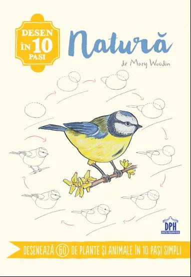 Desen in 10 pasi. Natura