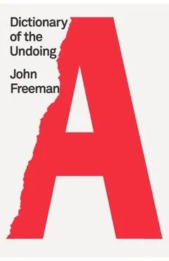 Dictionary of the Undoing - Valeria Luiselli