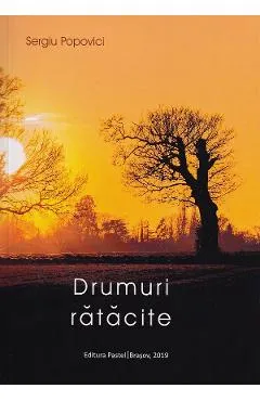 Drumuri ratacite - Sergiu Popovici
