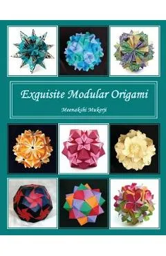 Exquisite Modular Origami - Meenakshi Mukerji