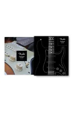 Fender Stratocaster 70 Years - Dave Hunter