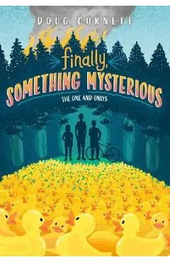 Finally, Something Mysterious - Doug Cornett
