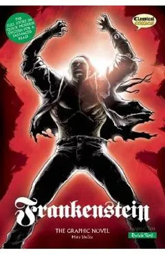Frankenstein: The Graphic Novel - Mary Shelley