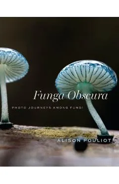 Funga Obscura - Alison Pouliot