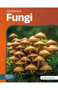 Fungi - Brienna Rossiter