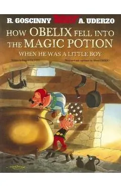How Obelix Fell into the Magic Potion