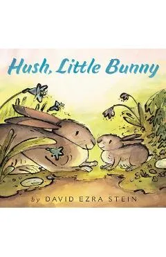 Hush, Little Bunny - David Ezra Stein